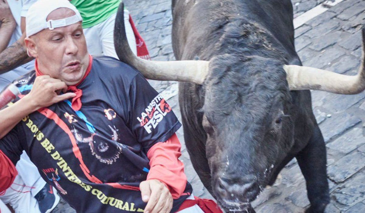 Bull-running festivals